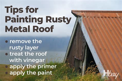 rustic metal roof paint